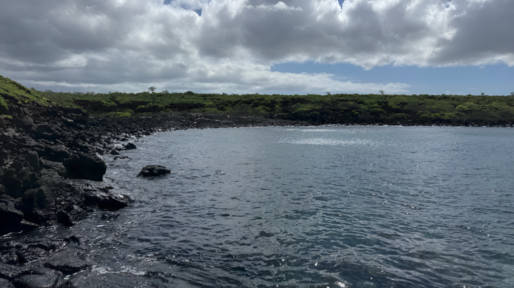 Galapagos Shoreline Cleanup